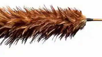 Foto - TIPS: Bersihkan Debu di Bodi Dengan Microfiber, Jangan Kemoceng!