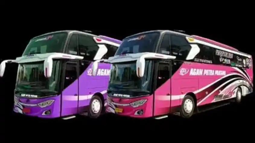 Bus - PO Agam Putra Pratama Pendatang Baru Lintas Bogor-Wonosobo