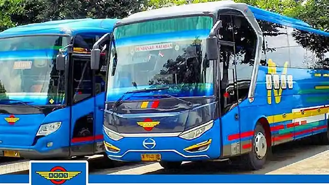 Bus - Tiket PO AKAS Mila Surabaya-Denpasar Kini Dapat Dipesan Online
