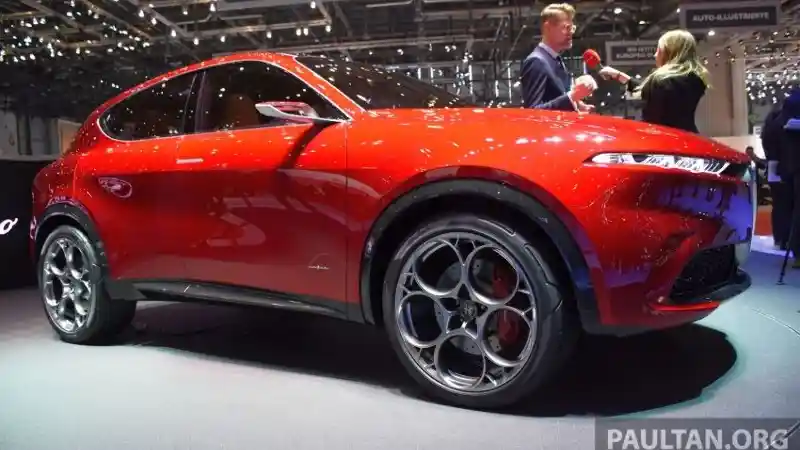 Berita - Inilah SUV Pertama Alfa Romeo