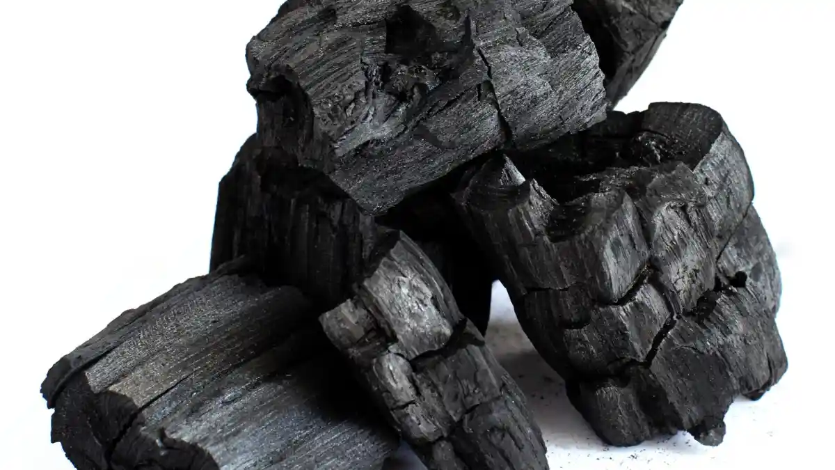 Foto - Cara Murah Meriah Usir Bau Apek Dari Kabin