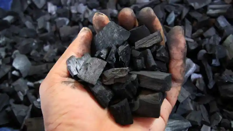 Tips - Bawa Bahan Ini Agar Kabin Selalu Segar di Musim Hujan