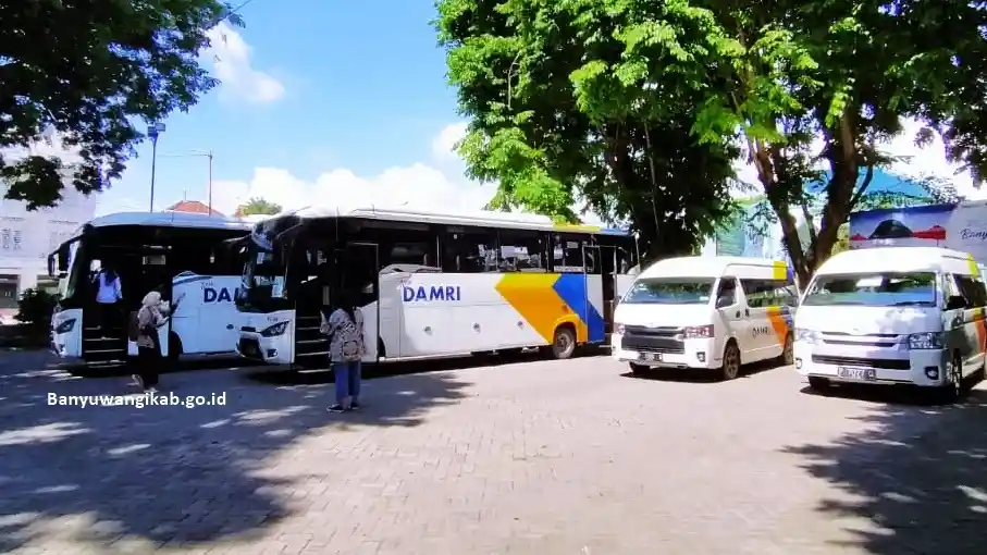 Foto - Keliling Wisata Di Banyuwangi Bisa Naik Angkutan Gratis, Ini Rute Dan Syaratnya