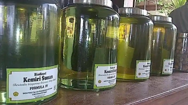 Foto - Ternyata Toyota Sudah Buat Mesin Berbasis Etanol di Indonesia