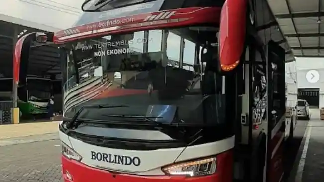 Bus - Ada Yang Unik Di Bus Baru PO Borlindo, Apa Itu?