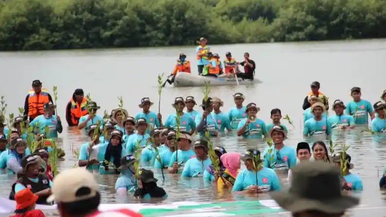 Foto - Bridgestone Rajin Tanam Bakau dan Adopsi Orangutan, Apa Tujuannya?