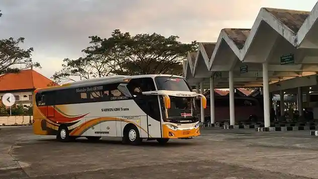 Foto - Banyak PO Baru, Bus Bali ke Jawa Timur Makin Marak