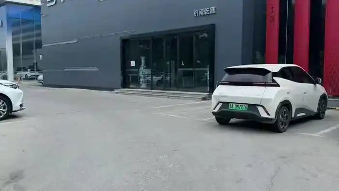 Foto - Jaringan Dealer BYD Terbesar Di Cina Collapse, Ada Apa?