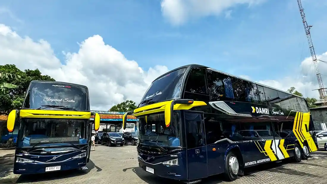 Foto - Dahsyat, Damri Rilis DD Pertama!