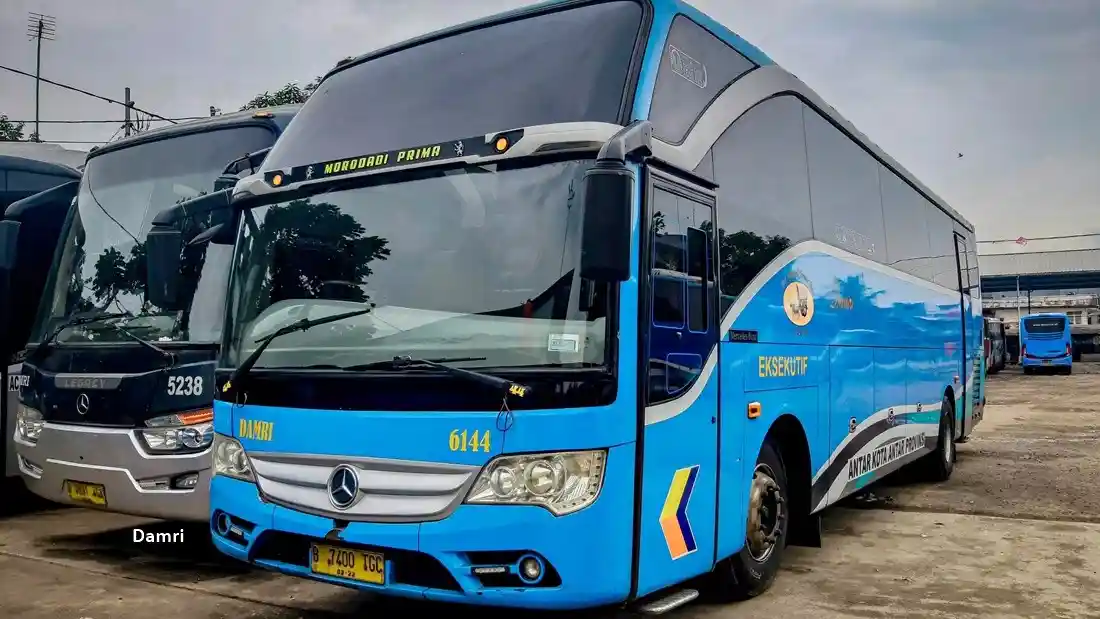 Bus - Damri Bikin Promo Mudik Ke Jabodetabek Dan Mudik Gratis Di Kaltara