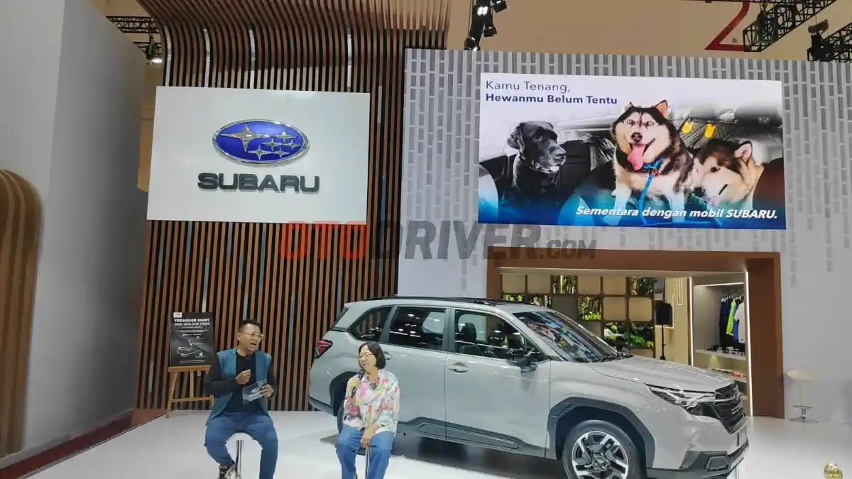 Tips - Begini Tips Aman Bawa Hewan Peliharaan di Mobil