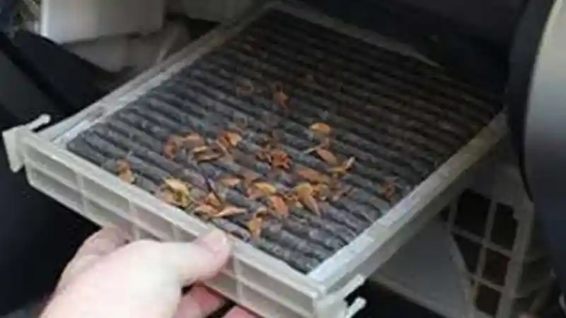 Foto - Manfaat Penggantian Rutin Filter AC Mobil