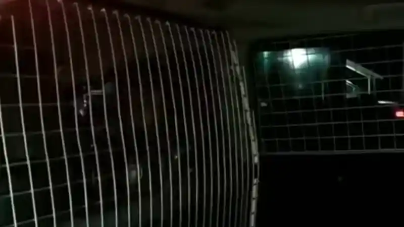 Foto - Mengenal Kijang Innova Andalan KPK Untuk Mobilisasi Tahanan