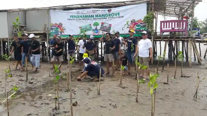 Foto - Indonesian Starlet Club Gelar Munas Sambil Tanam Mangrove di Pantai Indramayu