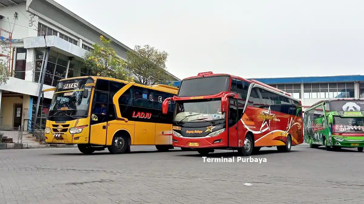 Foto - Kelangkaan Pengemudi Bus Sudah Di Tahap ‘Meresahkan’