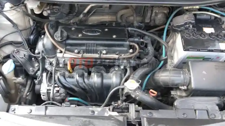 Foto - Panduan Membeli KIA Rio Bekas