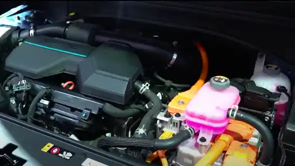 Foto - Alasan Carnival Hybrid Belum Hadir Di Indonesia