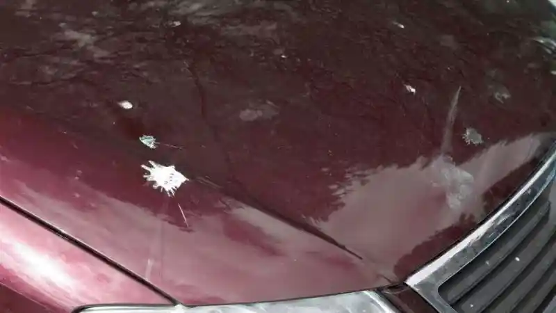 Foto - Kotoran Burung, Sering Disepelekan Namun Berbahaya Bagi Lapisan Cat Mobil