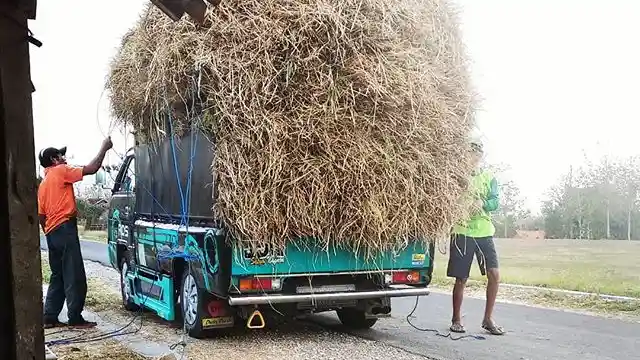 Foto - Mitsubishi L300 (2) Merajai Pasar Dengan Mesin Diesel