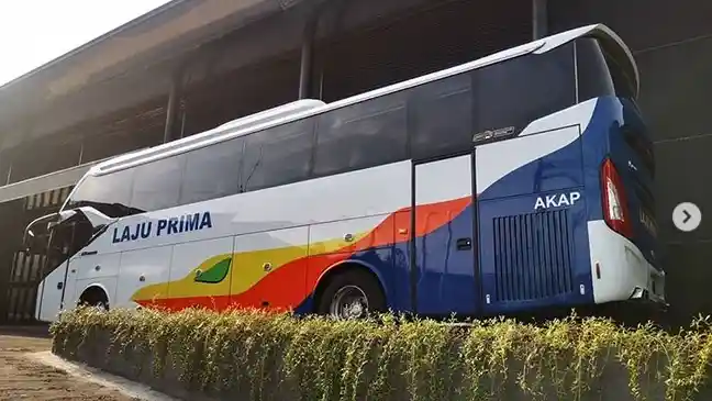 Bus - PO Laju Prima Buka Trayek Bogor-Cepu Pemberangkatan Pagi