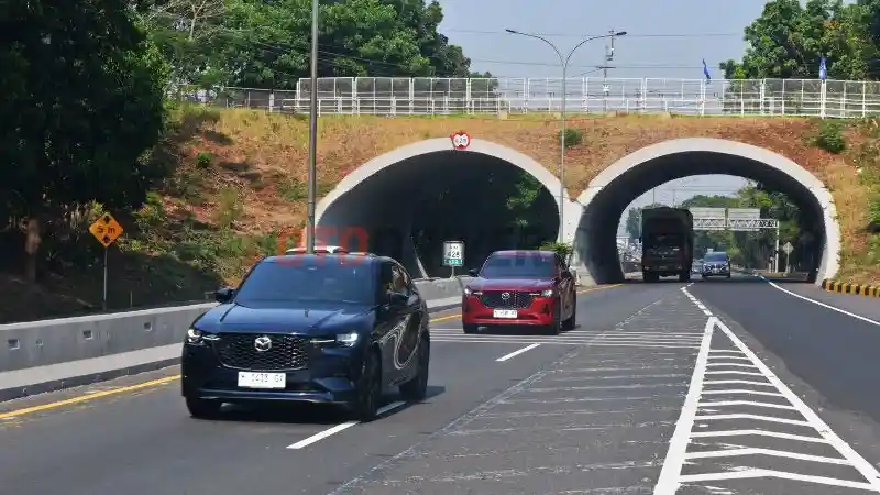 Berita - Bukan Merah, Ternyata Warna Ini Yang Paling Laris Di Mazda CX-60