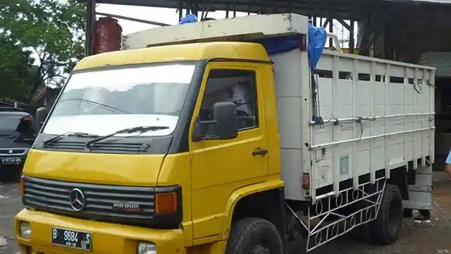 Foto - MB700 Dan MB800, Sempat Jadi Andalan Mercedes-Benz Untuk Tekuk Colt Diesel