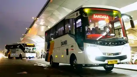 Berita - Damri Rilis Medium Bus Baru Rute Bandara Soetta