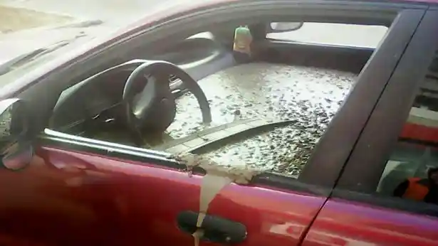 Berita - VIDEO: Walah, Kabin Mobil Ini Sengaja Disemen Lantaran Suami Murka 