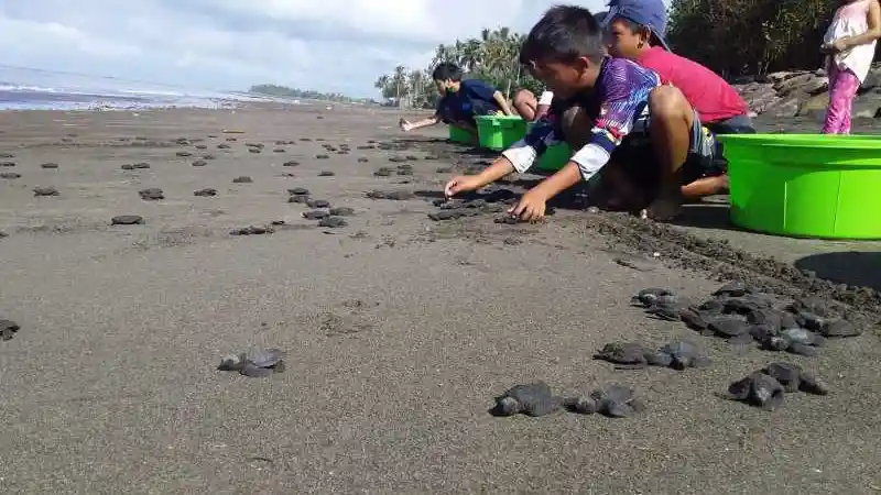 Berita - Begini Cara Melestarikan Keanekaragaman Hayati Ala Daihatsu