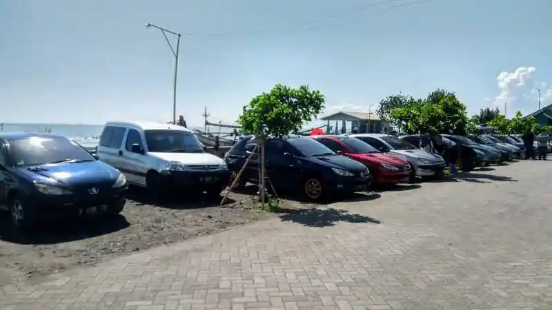 Berita - Astra Peugeot Gandeng Komunitas Demi Bumi