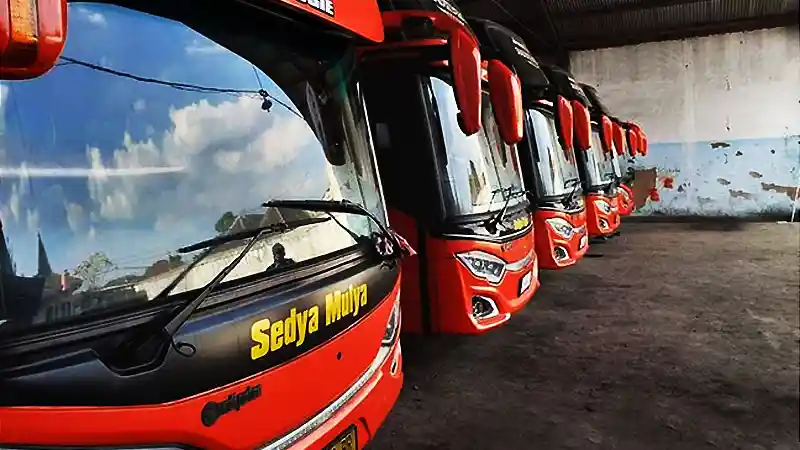 Bus - PO Sedya Mulya Hadirkan Angkutan Pagi Jakarta-Wonogiri