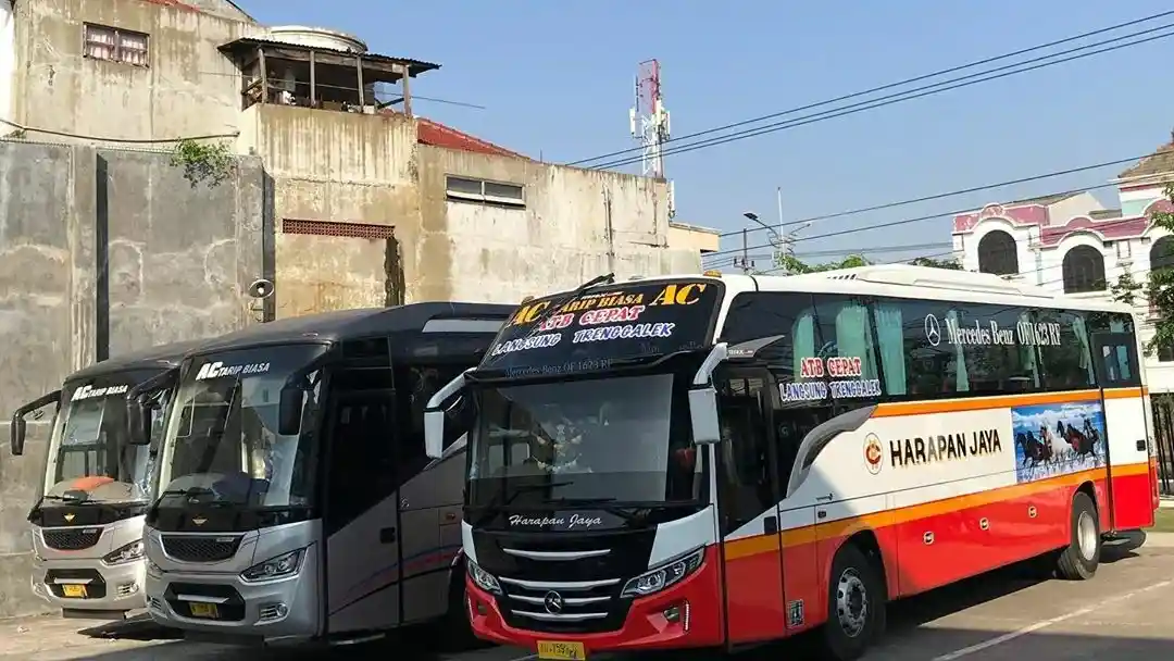 Bus - Jawa Timur Akan Kebanjiran Bus AKDP Mercy Mesin Depan