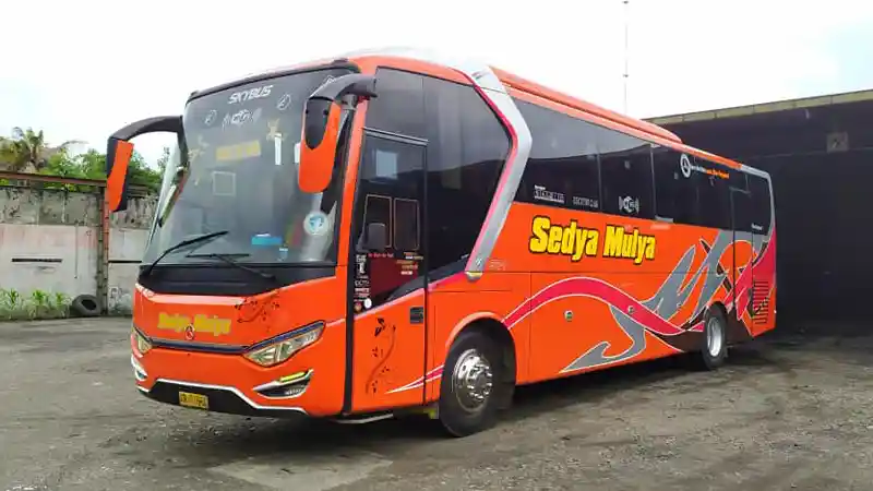 Bus - Hindari Corona, PO Sedya Mulya Hentikan Operasi Bus ke Jakarta dan Denpasar