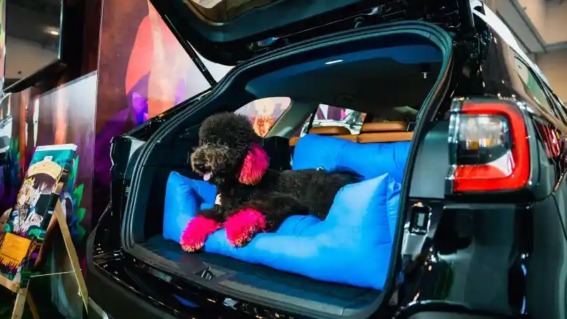 Foto - Subaru Peduli Hewan Sediakan Banyak Hadiah, Jadi Momentum Dukungan Bagi Kesejahteraan Hewan Peliharaan