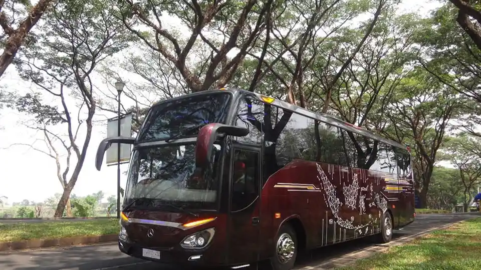 Foto - Reborn! Bus New Patriot Buatan Karoseri Morodadi Prima Malang, Bergaya Simpel dan Elegan