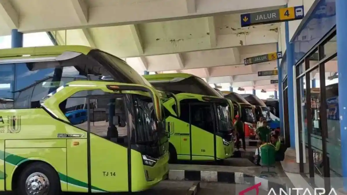 Foto - Inilah Jumlah Bus Bulan Juli 2024