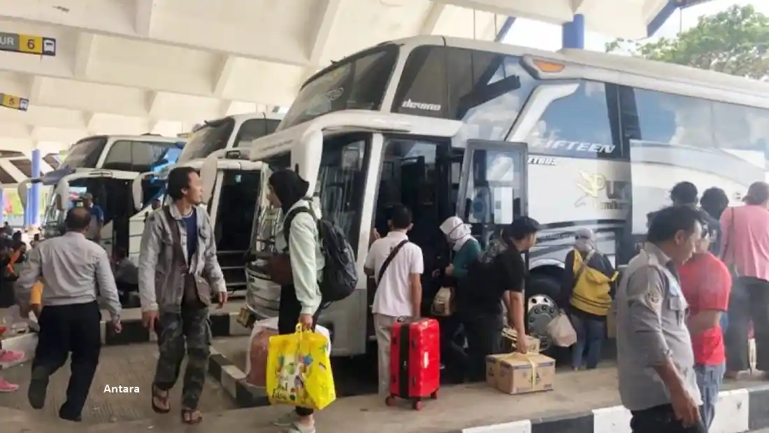 Bus - Ini Jumlah Bus Di Indonesia Bulan Oktober 2024 