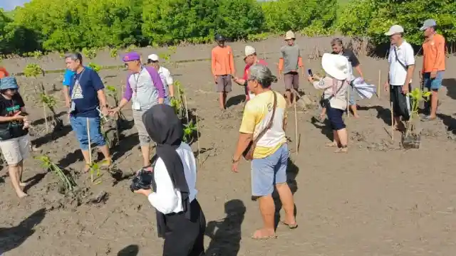 Foto - Teruci Bawa Konsep 'Hijau' Dalam Rayakan Ulangtahun Ke 17