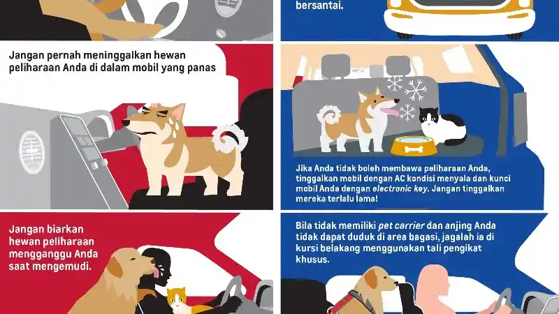 Foto - 5 Tips Membawa Hewan Peliharaan Dengan Mobil