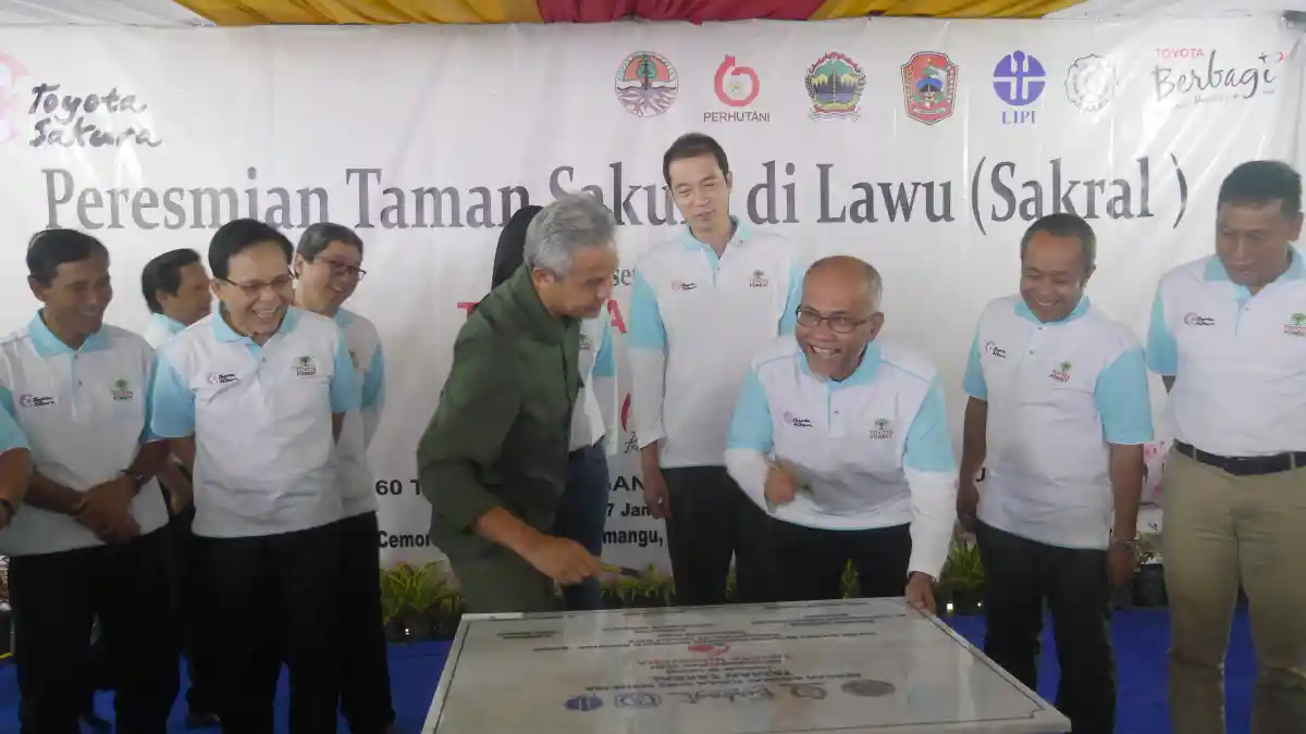 Foto - Pabrik Toyota Indonesia Hijaukan Jawa Dengan Tanam Pohon Sakura