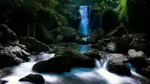 Mencuci Tanpa Air