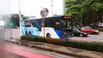  Rayakan HUT RI, Transjakarta Siapkan Tarif Rp80 Saja