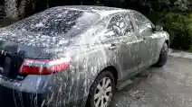 Cara Jitu Hilangkan Noda Kotoran Burung di Bodi Mobil
