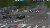VIDEO: Seekor Kucing Hampir Kacaukan Balap Formula