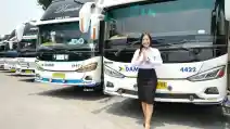  Damri Beri Diskon Spesial Liburan Sekolah, Ke Bandung Dan Ke Bali Jadi Destinasi Menarik