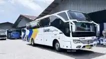  Damri Buka Rute Baru Dan Tambah Frekuensi Keberangkatan Di Tiga Wilayah