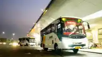  Penumpang Rute Damri Bandara Soetta 2024 Hampir 2 Juta