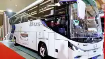 Damri Memperbarui Armada Lintas Negara Dengan Bus Hino