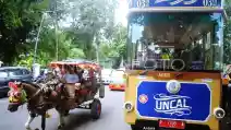  Ternyata Bisa Keliling Kota Bogor Naik Bus Gratis