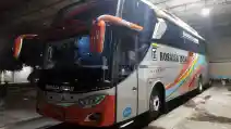 Libur Telah Tiba: Harga Tiket Bus Rosalia Indah Jurusan Jakarta ke Surabaya dan Yogyakarta